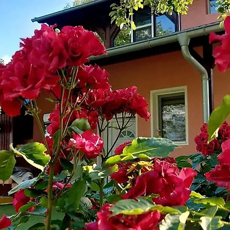 Apartmán Neven Irig