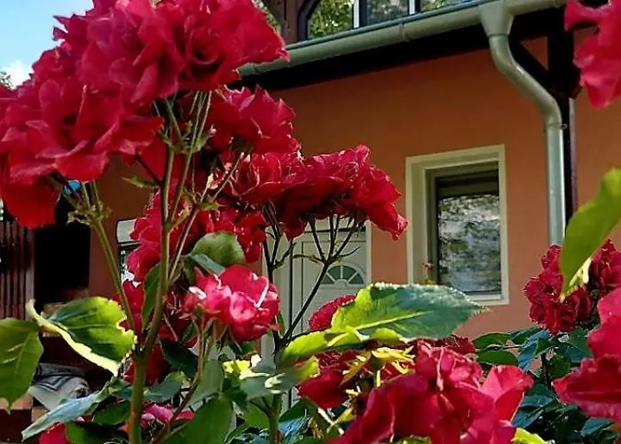 Appartement Neven Irig